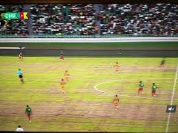 Côte d’Ivoire – Cameroun : la pelouse du stade d’Ebimpé fait polémique