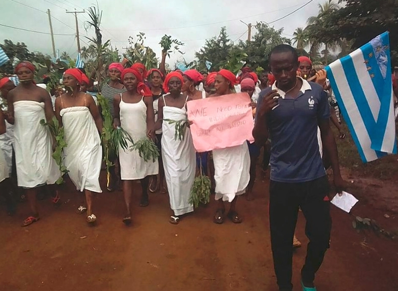 Crise anglophone: Quelques manifestants (22/09/2017)